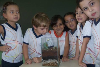 Confecção do terráreo