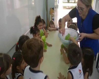 Salada Verde - Maternal e Pré I (tarde)