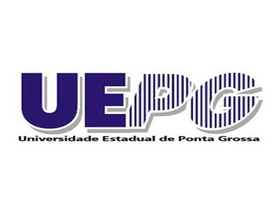 UEPG VESTIBULAR DE INVERNO 2013