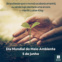 Dia Mundial do Meio Ambiente - 2021